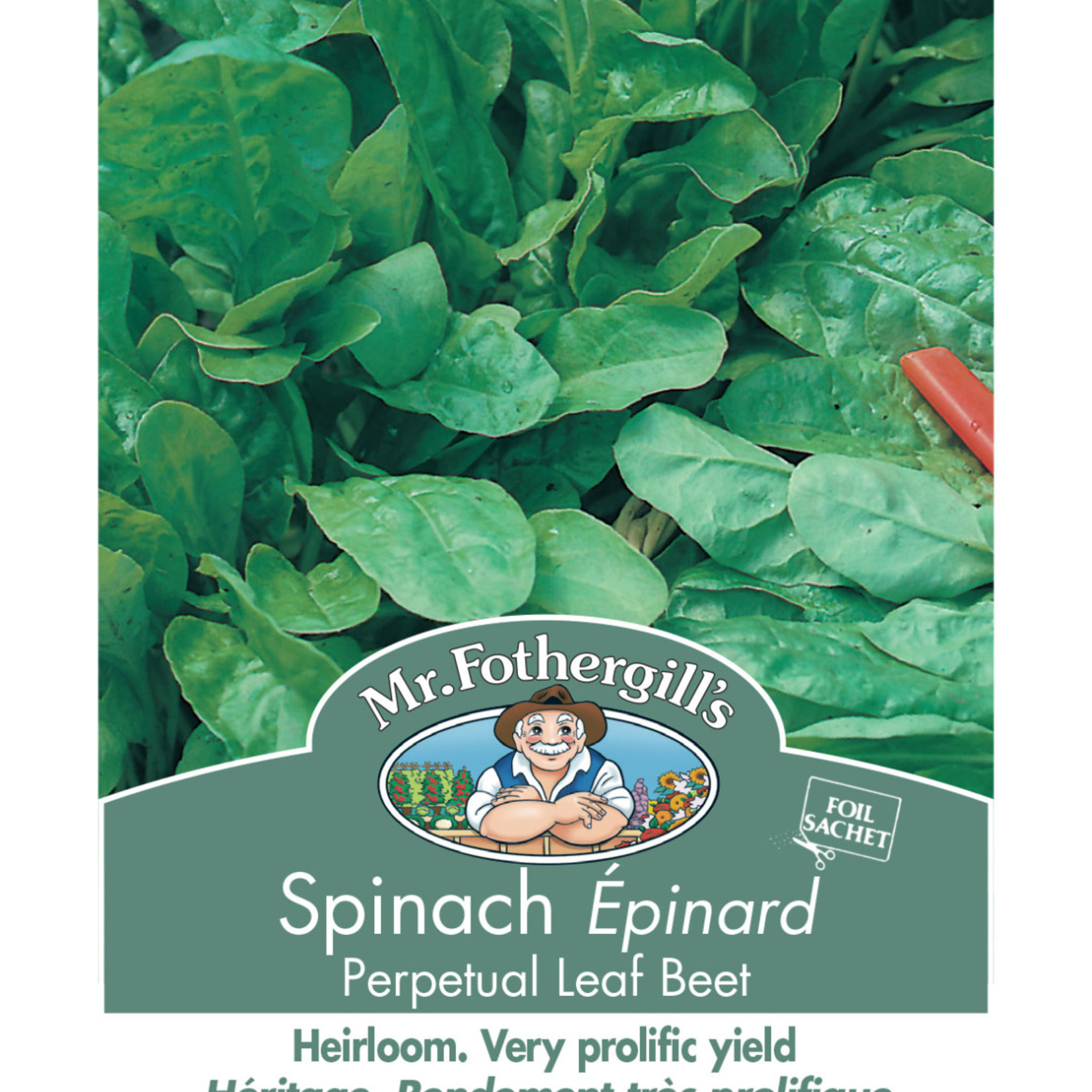 Mr. Fothergill's SPINACH Perpetual Leaf Beet