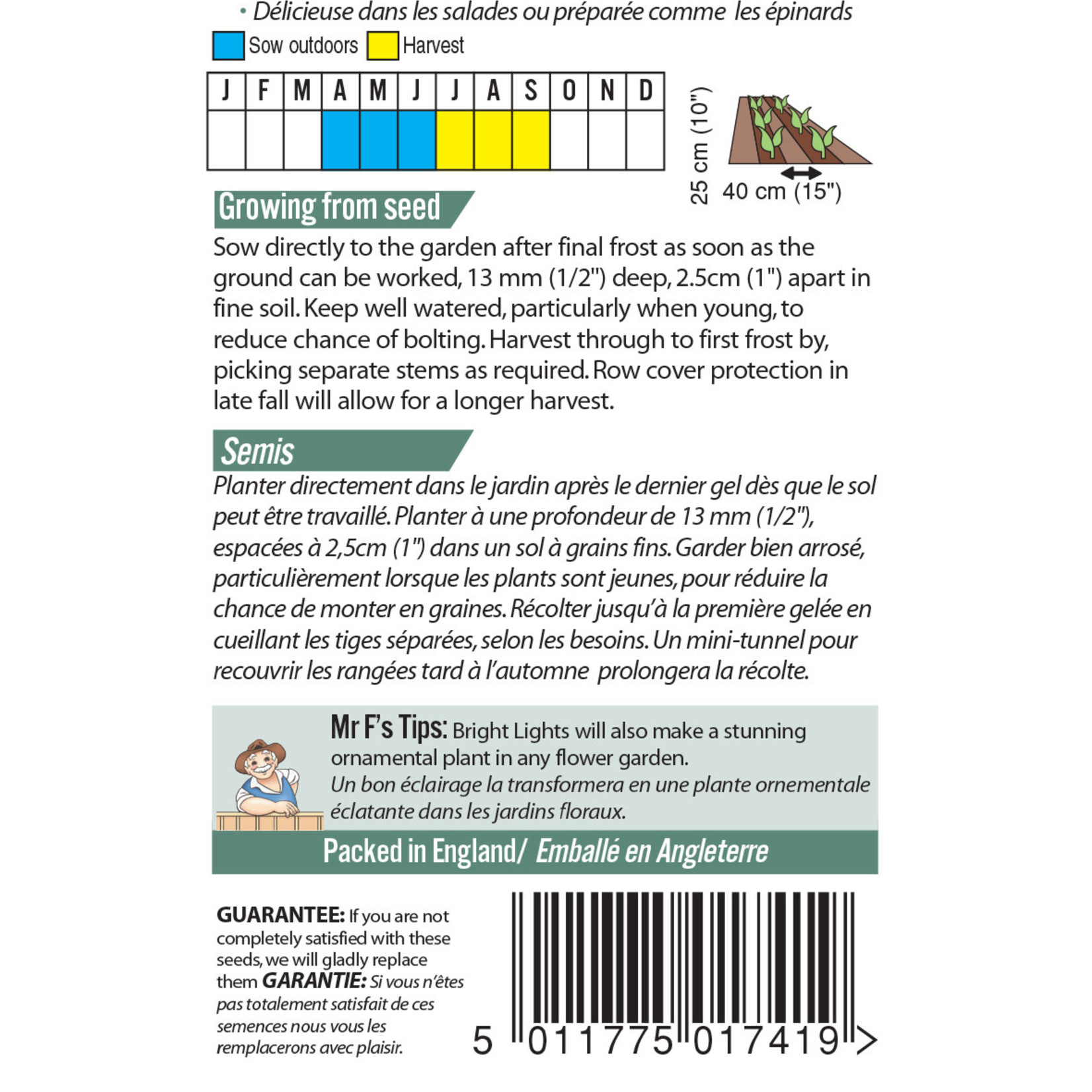 Mr. Fothergill's SWISS CHARD Bright Lights