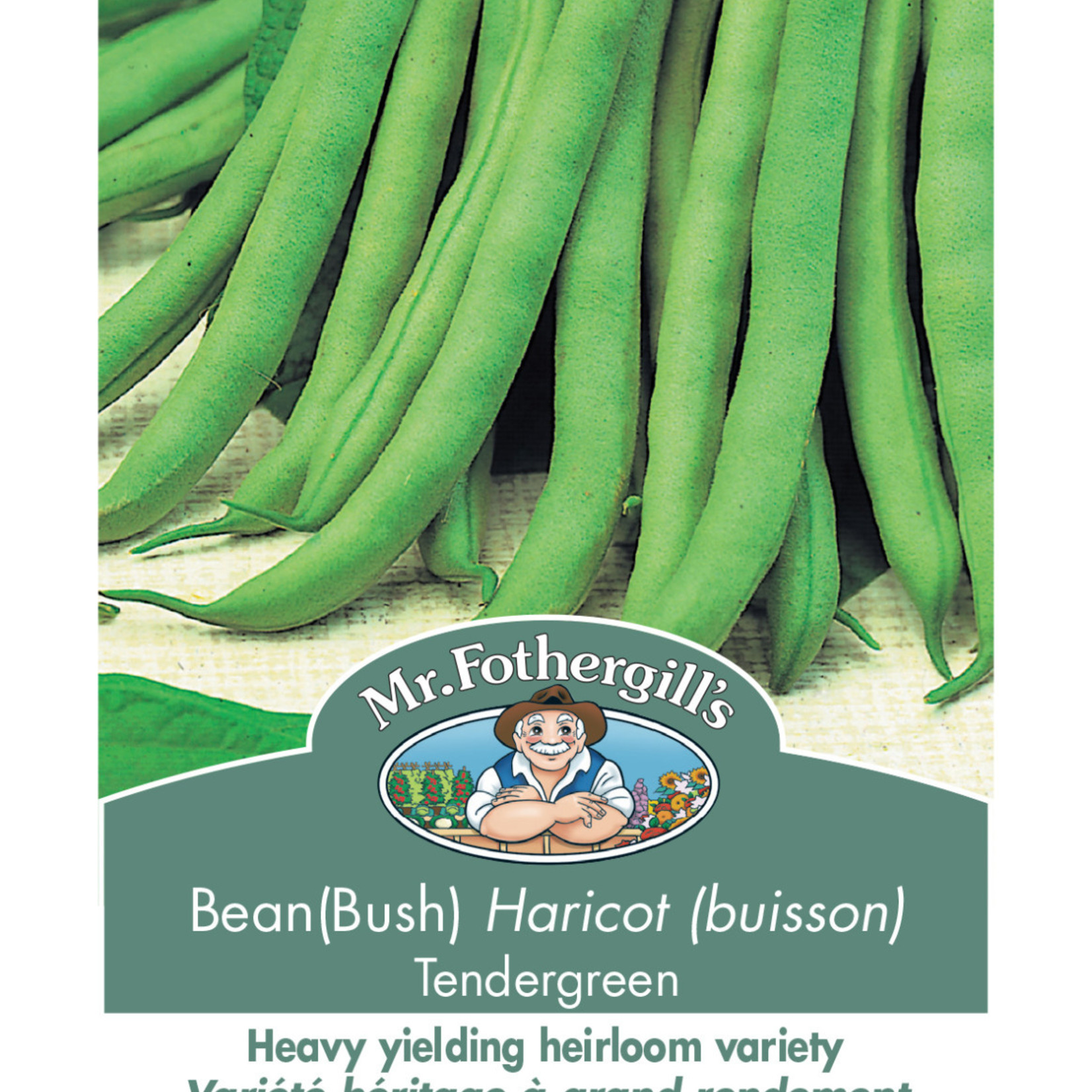 Mr. Fothergill's BEAN BUSH Tendergreen Seeds