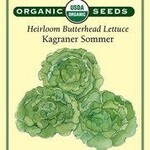 Lettuce - Lettuce Butterhead Kagraner Sommer Organic