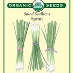 Renee's Onion - Onion Scallions Sprint Organic
