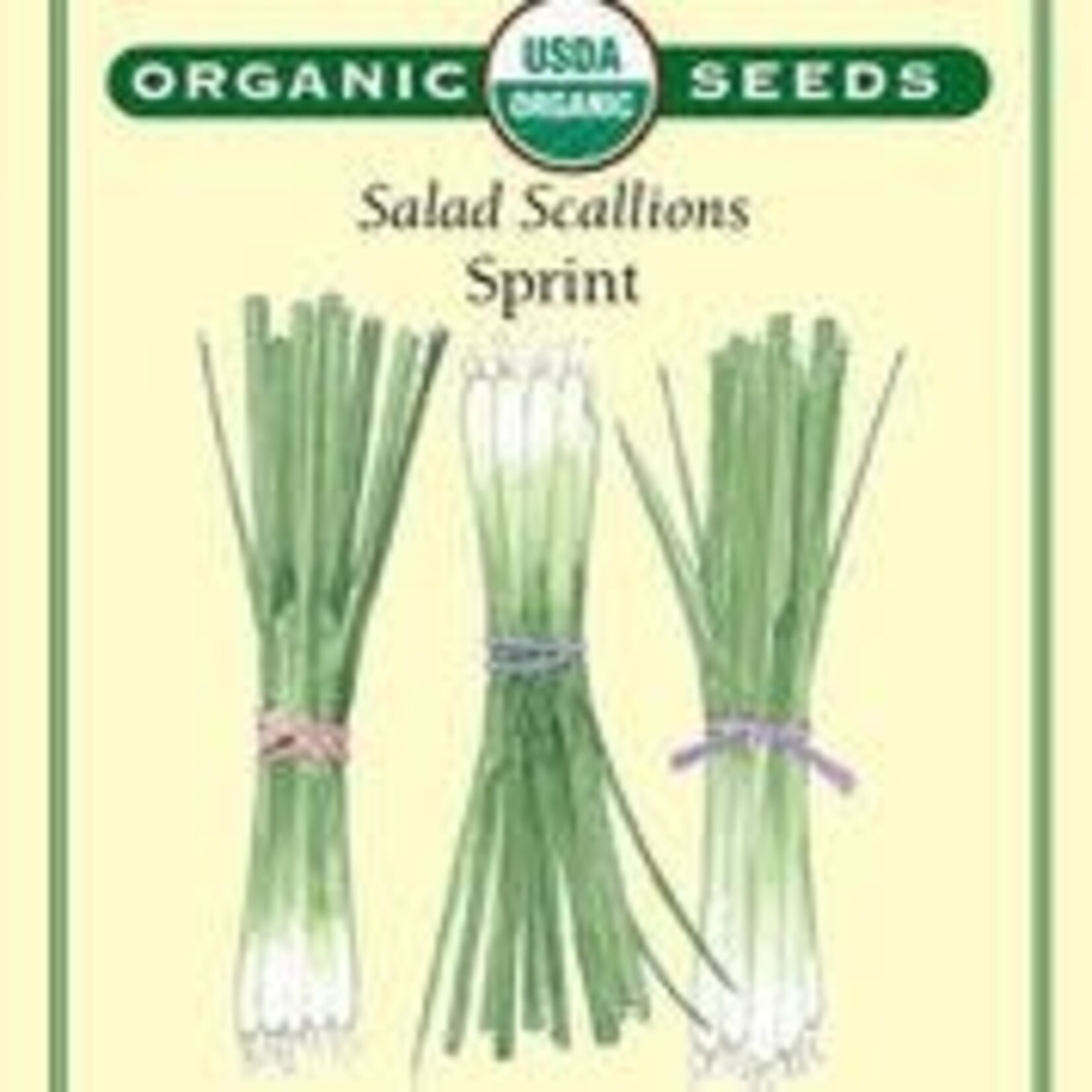 Renee's Onion - Onion Scallions Sprint Organic