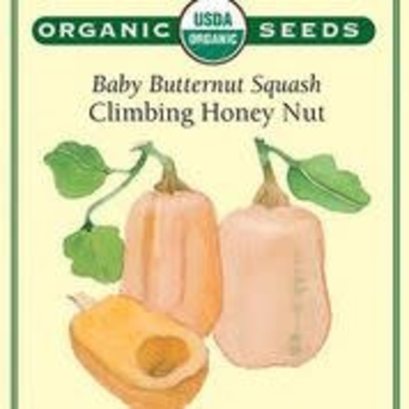 Renee's Squash - Squash Winter Baby Honeynut Organic