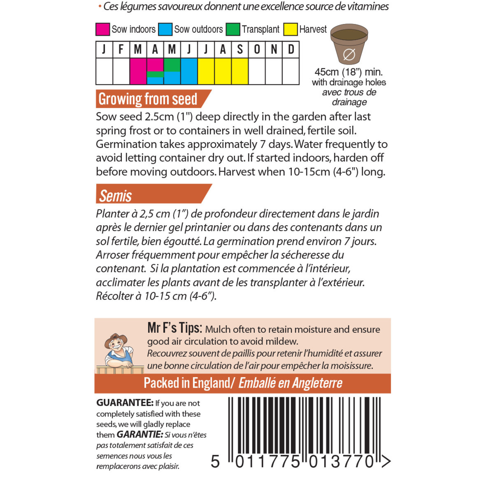 Mr. Fothergill's ZUCCHINI COURGETTE Midnight F1