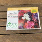 OSC Seeds Sweet Pea Jumbo Mix Seeds