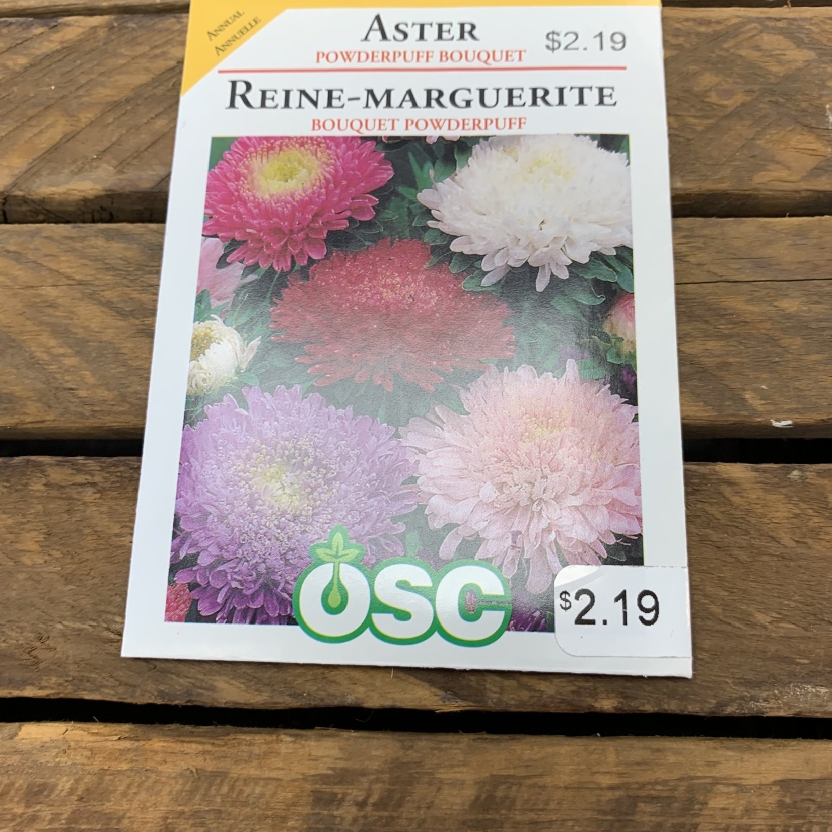 OSC Seeds Aster 'Powderpuff Bouquet' Seeds