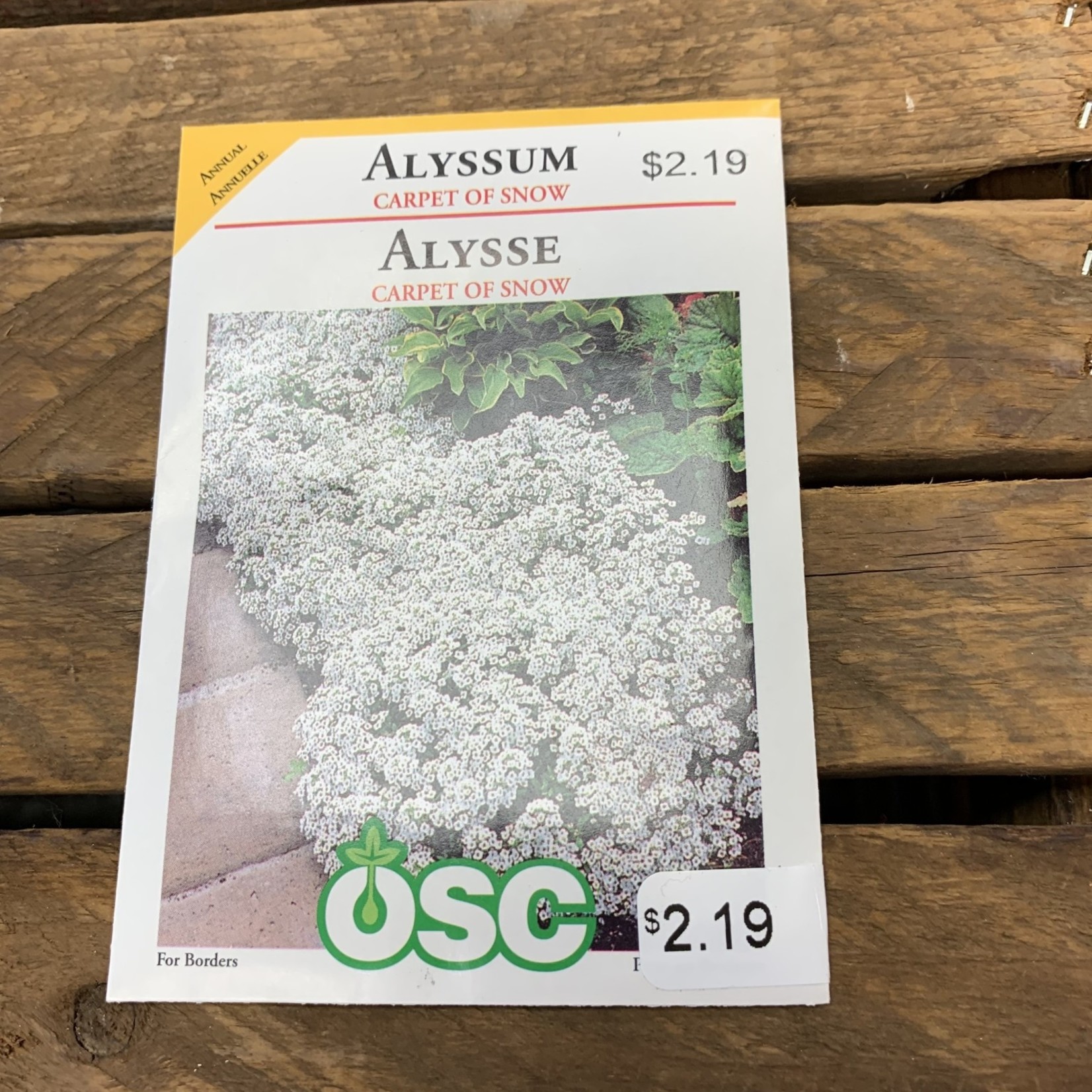 OSC Seeds Alyssum 'Carpet of Snow' Seeds
