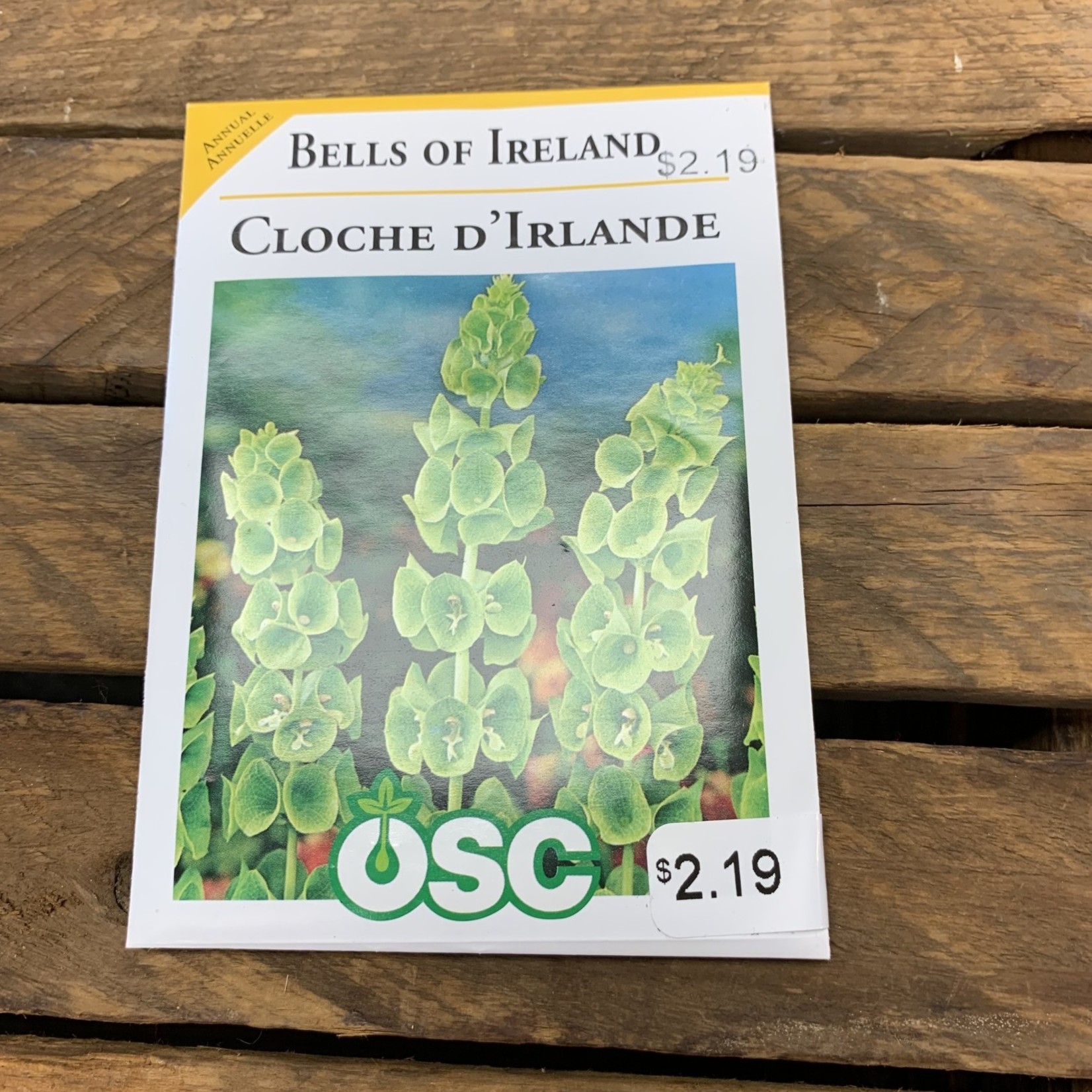 OSC Seeds Bells of Ireland Seeds