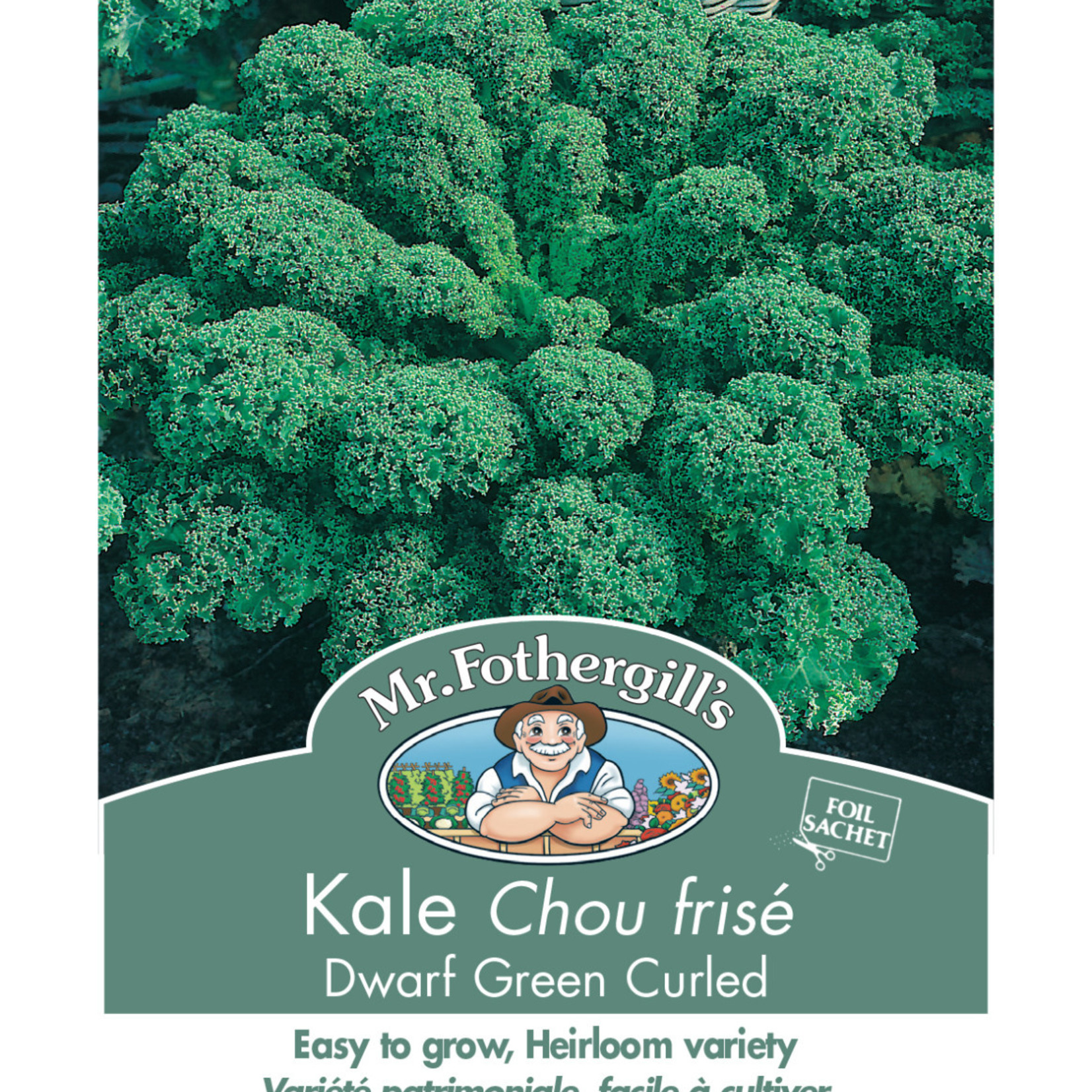Mr. Fothergill's KALE Dwarf Green Curled