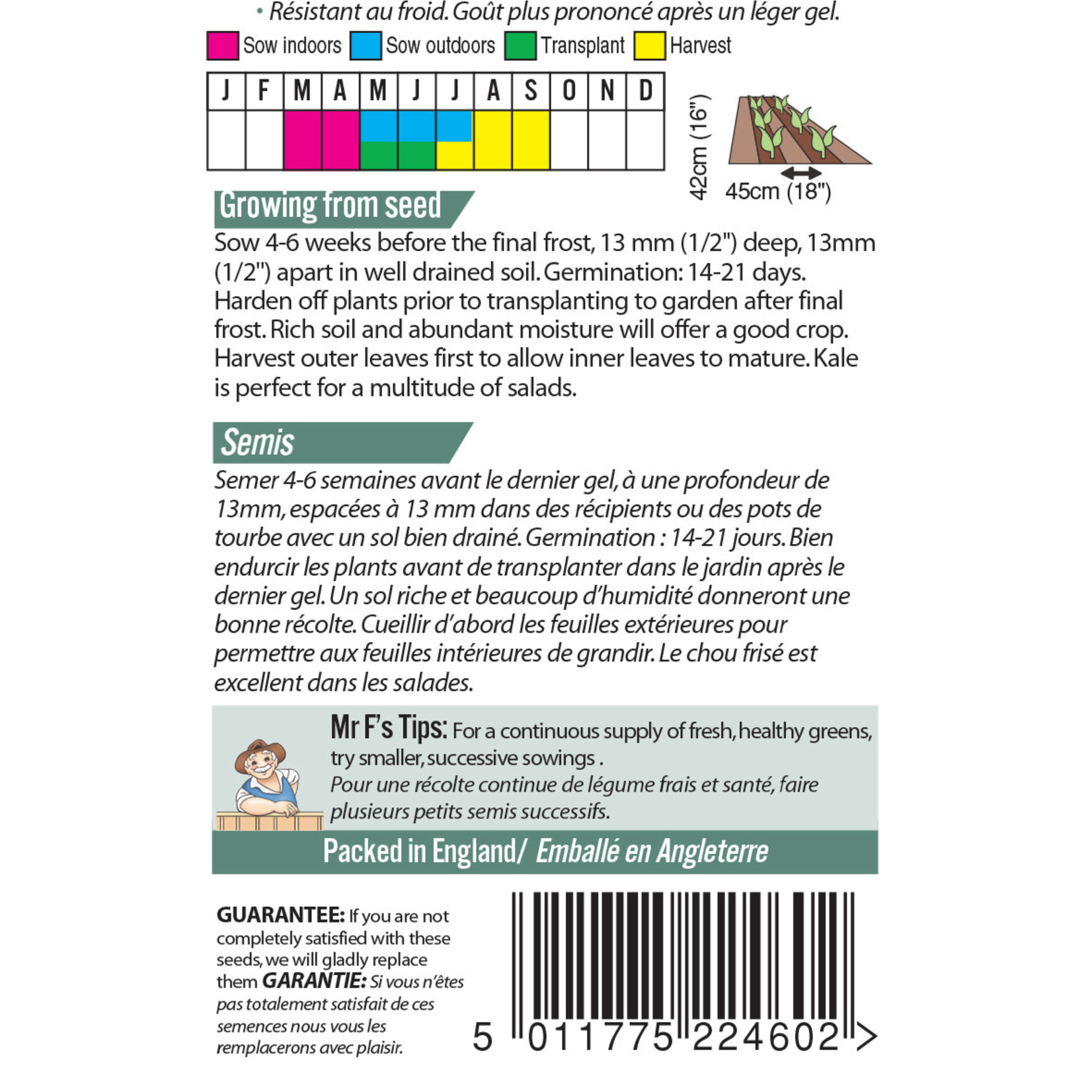 Mr. Fothergill's KALE Dwarf Green Curled