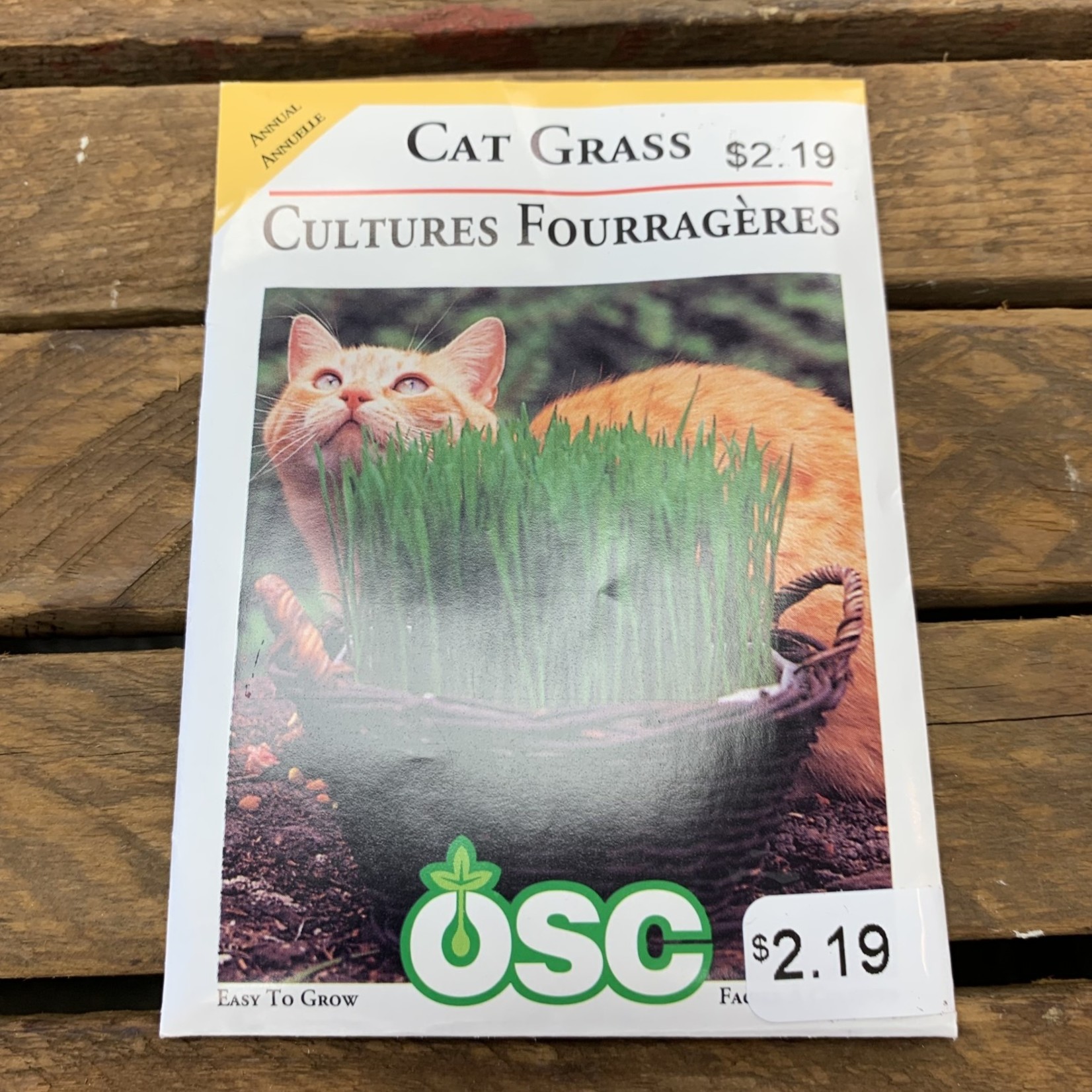 OSC Seeds Cat Grass Seeds