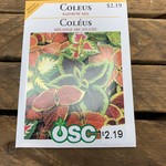 OSC Seeds Coleus 'Rainbow Mix' Seeds