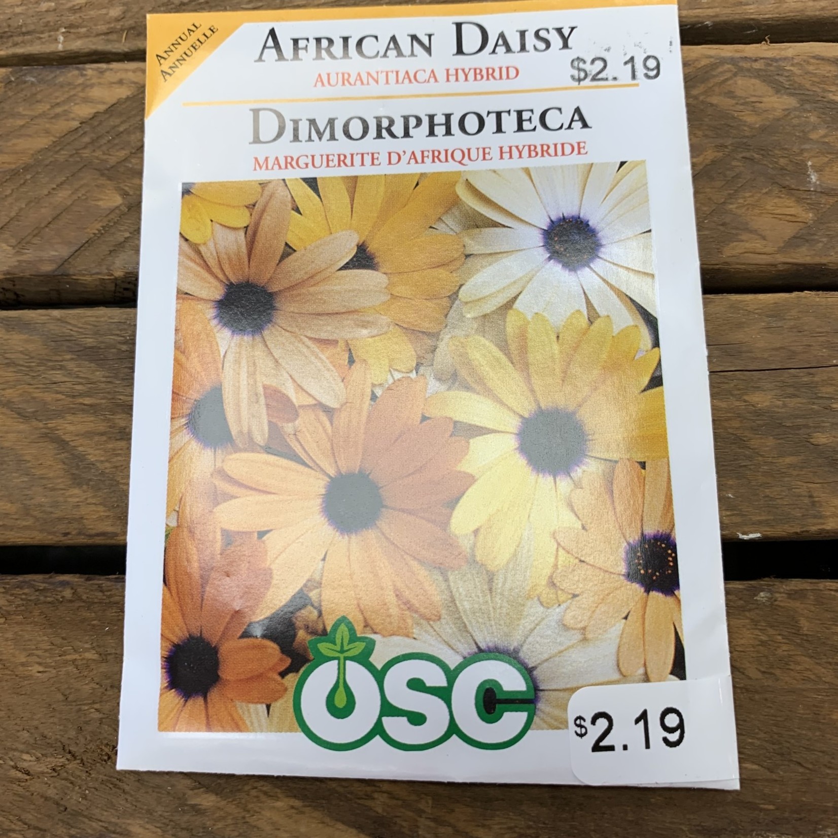 OSC Seeds African Daisy 'Aurantiaca Hybrid' Seeds