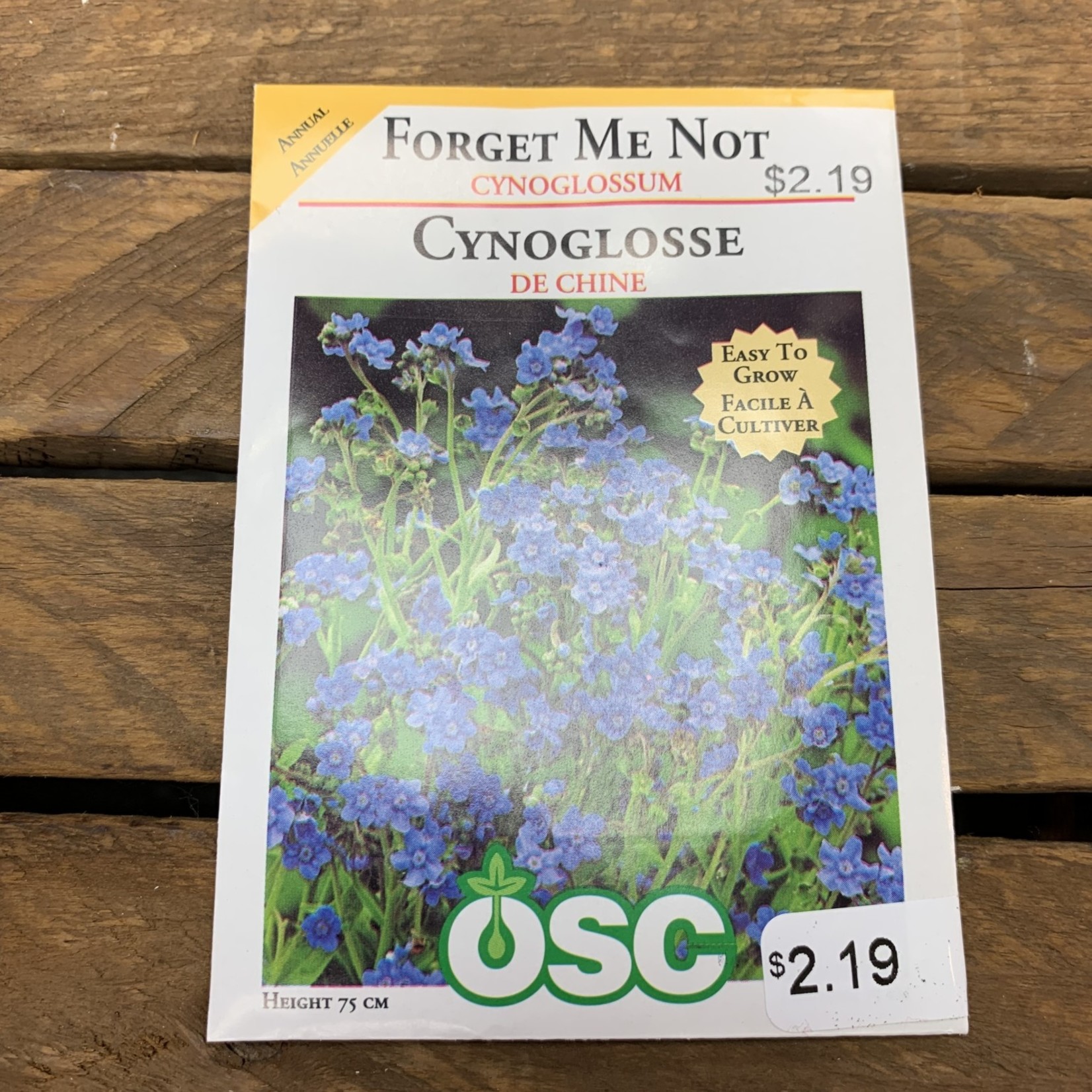OSC Seeds Forget Me Not 'Cynoglossum' Seeds