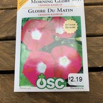OSC Seeds Morning Glory 'Crimson Rambler' Seeds