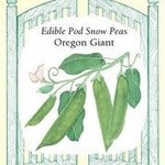 Renee's Peas - Oregon Giant Snow Pea