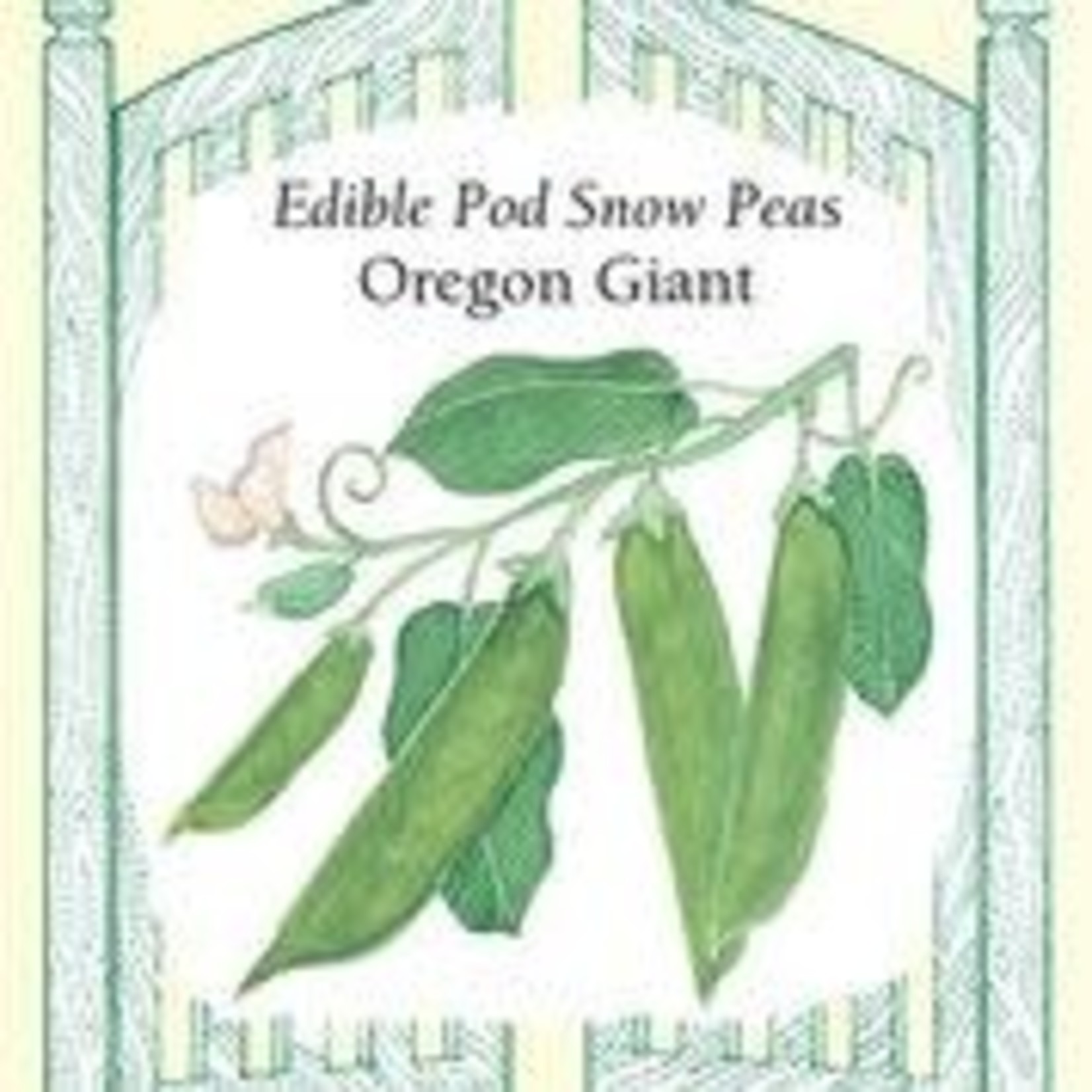 Renee's Peas - Oregon Giant Snow Pea