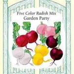 Renee's Radish - Five Color Garden Party Mix Radish