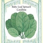 Renee's Spinach - Catalina Baby Leaf Spinach