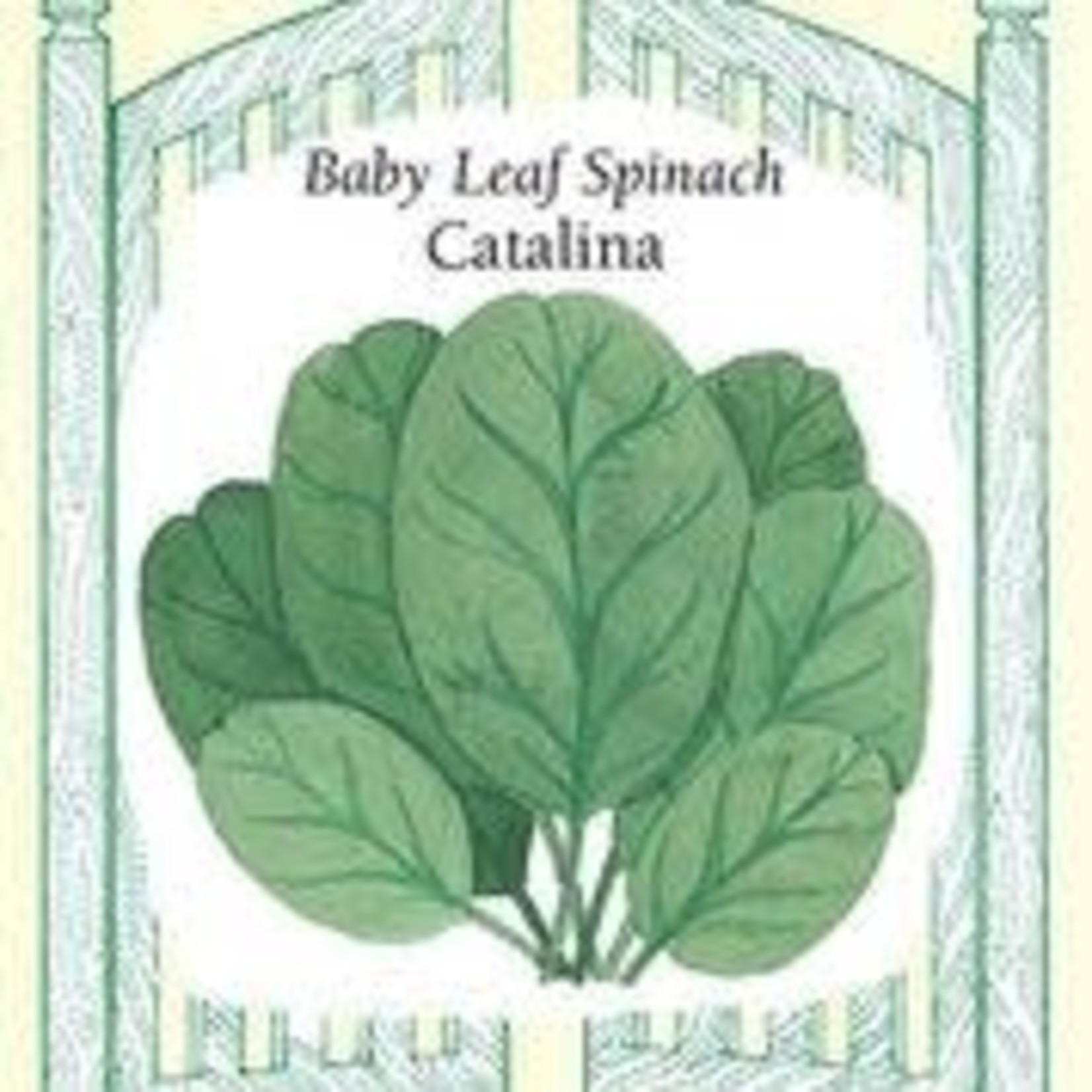 Renee's Spinach - Catalina Baby Leaf Spinach