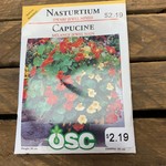 OSC Seeds Nasturtium 'Dwarf Jewel Mixed' Seeds
