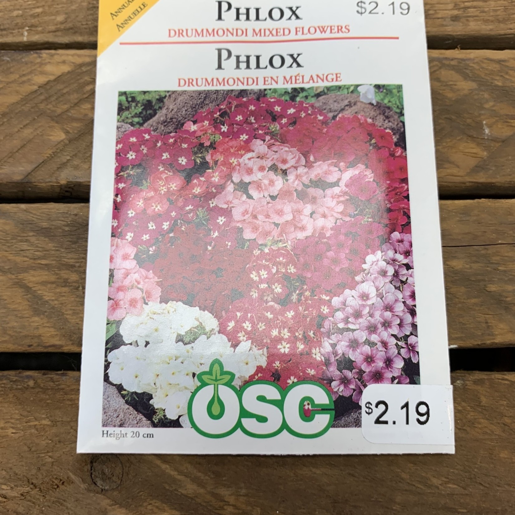 OSC Seeds Phlox 'Drummondi Mixed Flowers' Seeds