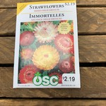 OSC Seeds Strawflowers 'Mixed Helichrysum' Seeds