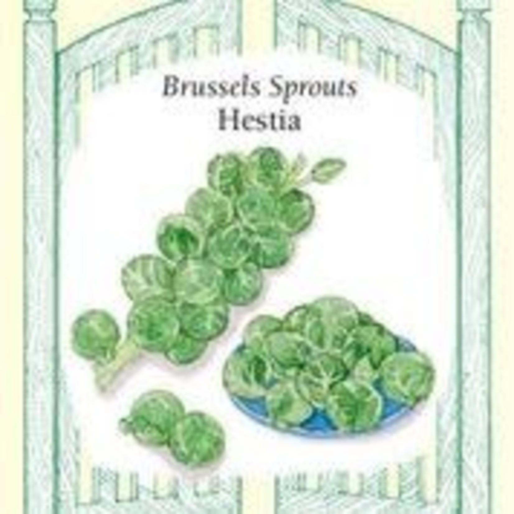 Renee's Brussels Sprouts Hestia Seeds