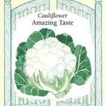 Renee's Cauliflower Amazing Taste Seeds