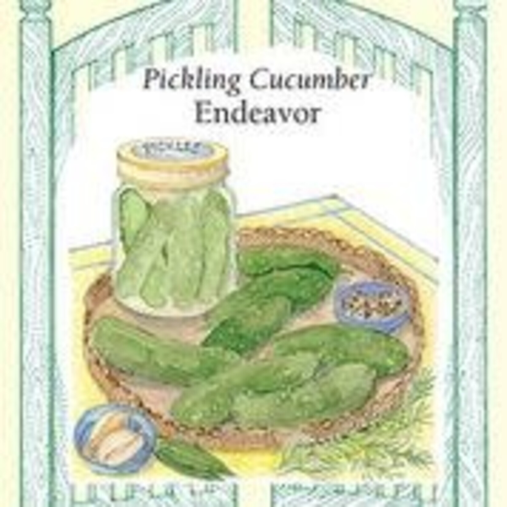 Cucumber - Pickling Endeavor Cucumber