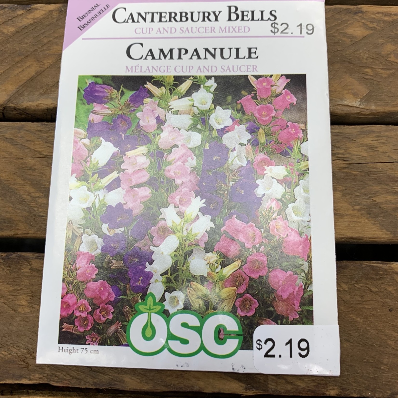 OSC Seeds Canterbury Bells 'Cup and Saucer Mixed' Seeds