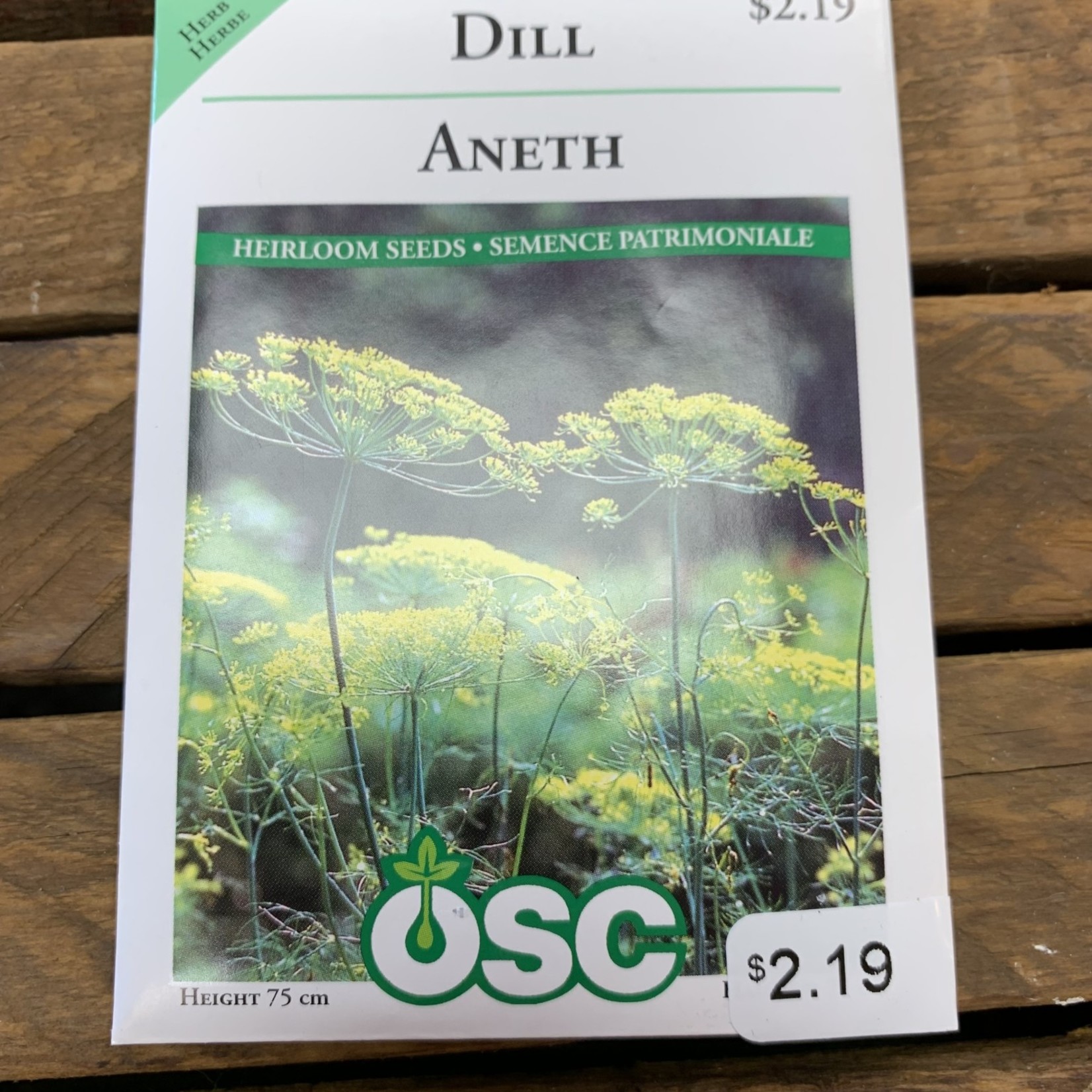 OSC Seeds Dill Seeds