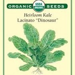 Kale - Kale Lacinato Organic