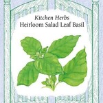 Renee's Basil - Basil Salad Leaf
