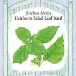 Renee's Kitchen Herbs Heirloom Salad Leaf Basil Seeds