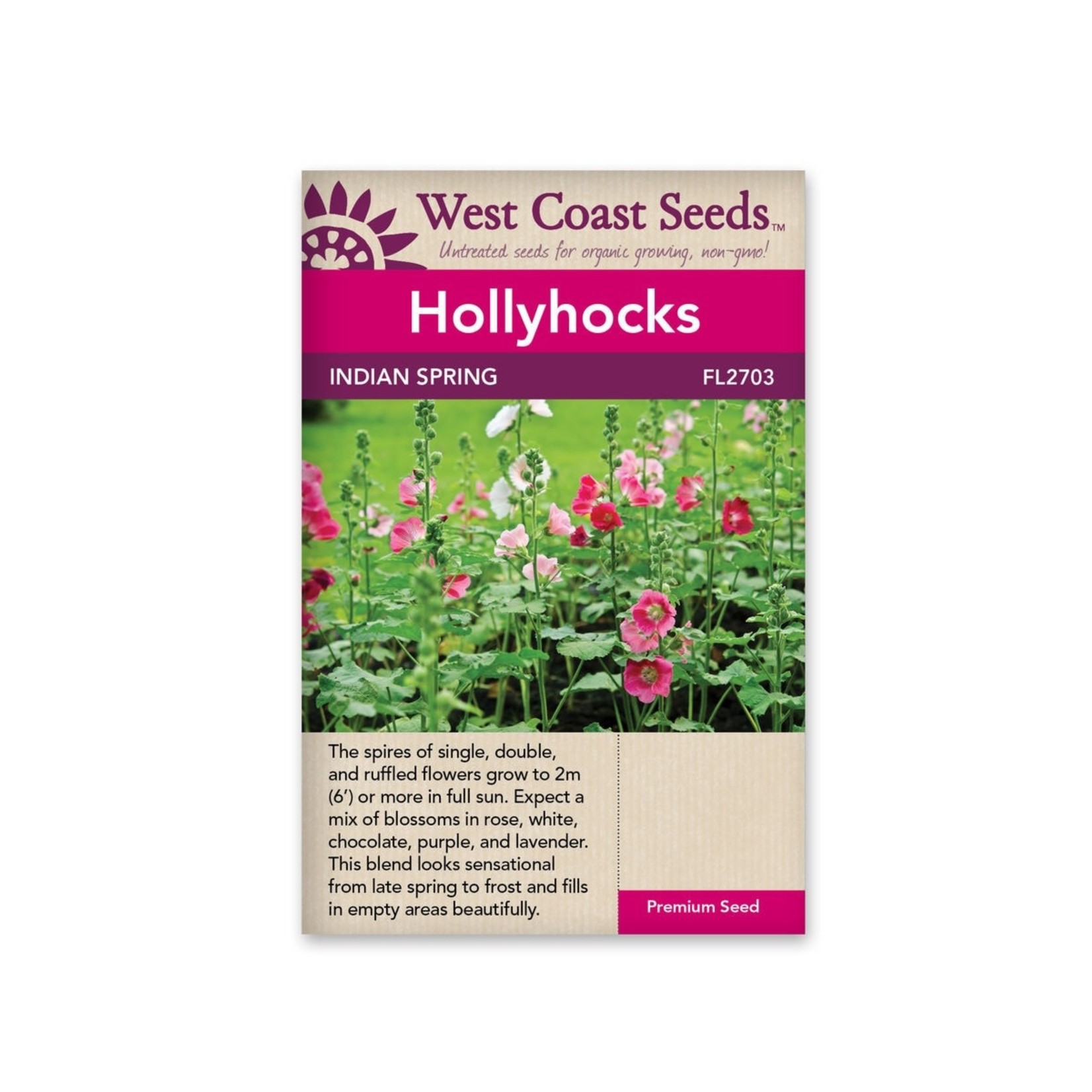 West Coast Seeds Hollyhocks - Indian Spring