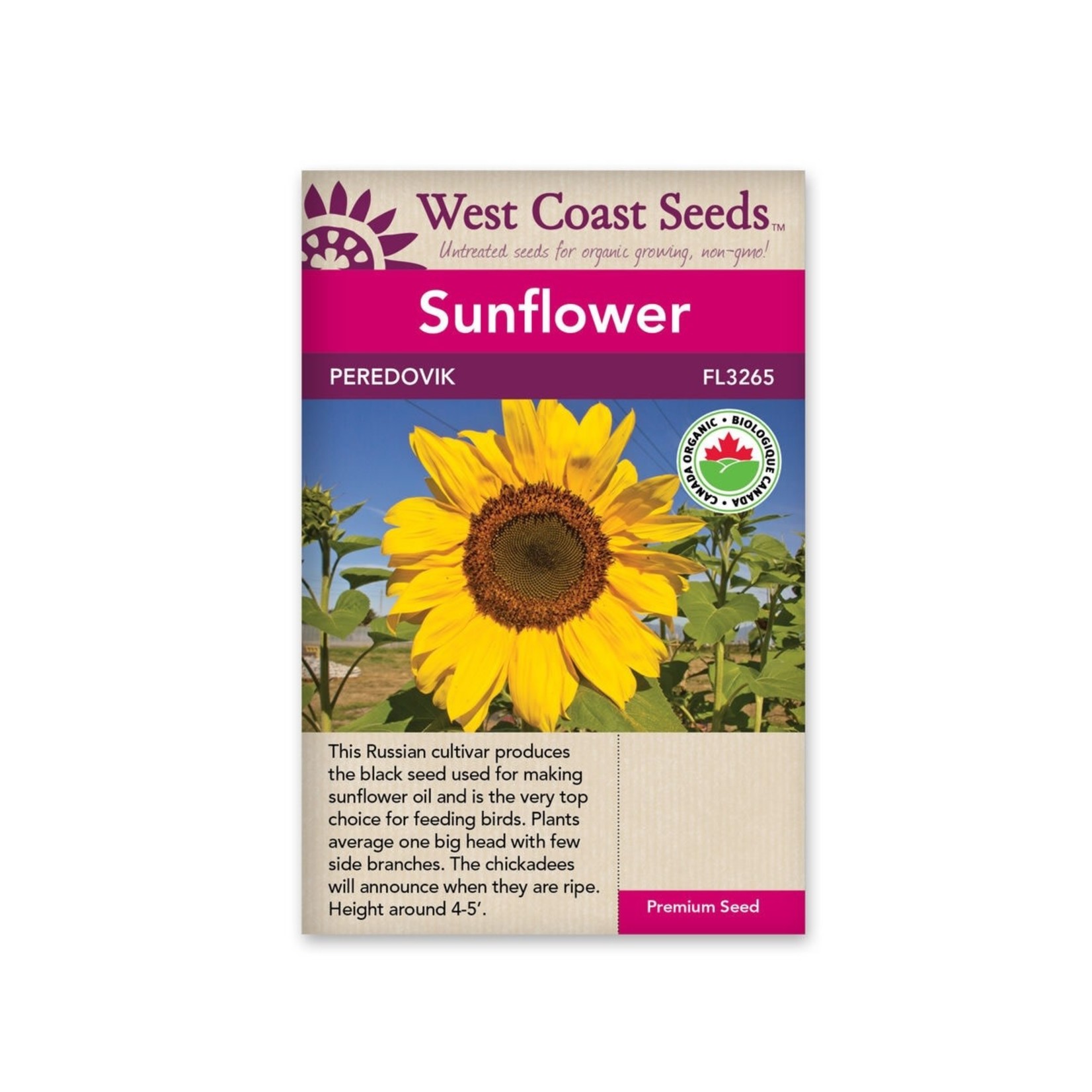West Coast Seeds Sunflowers - Peredovik Organic
