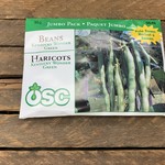 OSC Seeds Beans  'Kentucky Wonder Green Pole' Jumbo Pack