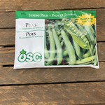 OSC Seeds Peas ' Homesteader'  Jumbo Pack