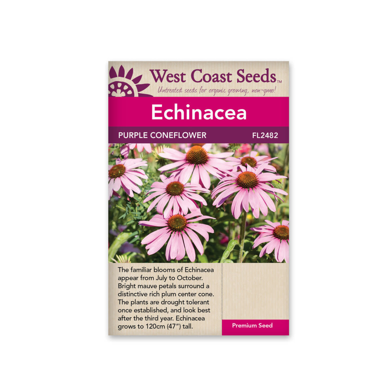 West Coast Seeds Echinacea - Purple Coneflower