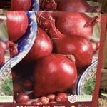 Van Noort Onion Sets - Red  80/PKG