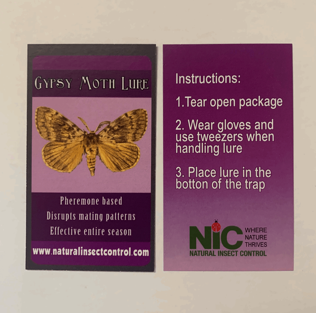 Gypsy Moth (LDD) Replacement Lure Klomps Home and Garden