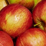 Apple Gala 7G