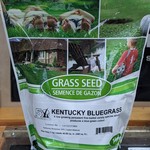 Speare Seeds Kentucky Bluegrass Coated Grass Seed Bag 1kg