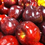 Apple Tree Red Delicious  175cm / 5'6" / 7Gal