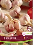 Van Noort Garlic - German Red Hardneck Bulk