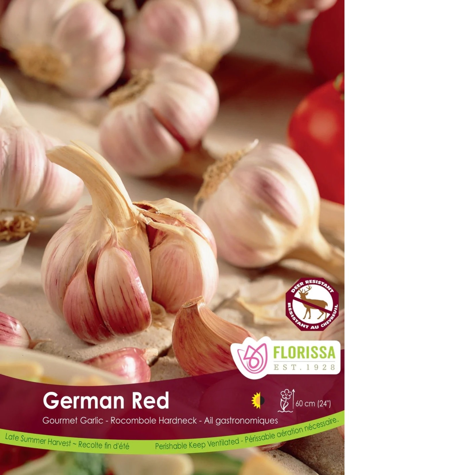 Van Noort Garlic - German Red Hardneck Bulk