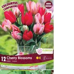 Van Noort Companion Bulb - Cherry Blossoms 12/Pkg