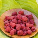 Heritage Raspberry  1G