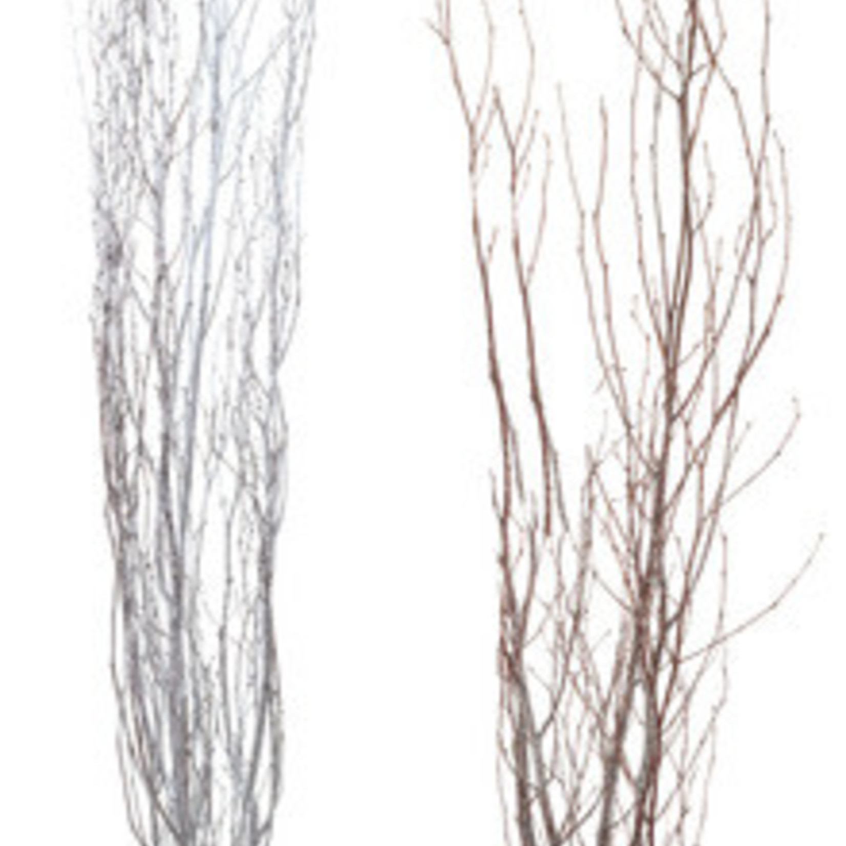 Birch Branches 3-4ft Silver Gl or Frost Glitter